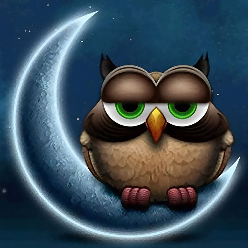 Chouette Qui Dort sur la Lune Broderie Diamant