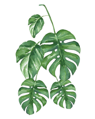 Cinq Feuilles de Monstera Broderie Diamant