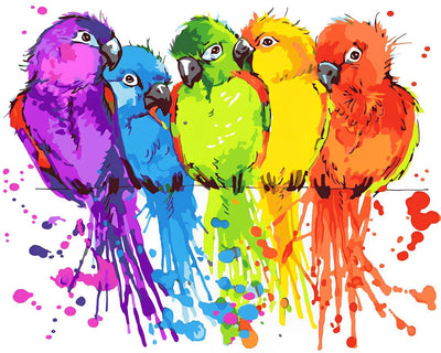 Cinq Perroquets Colorés Broderie Diamant