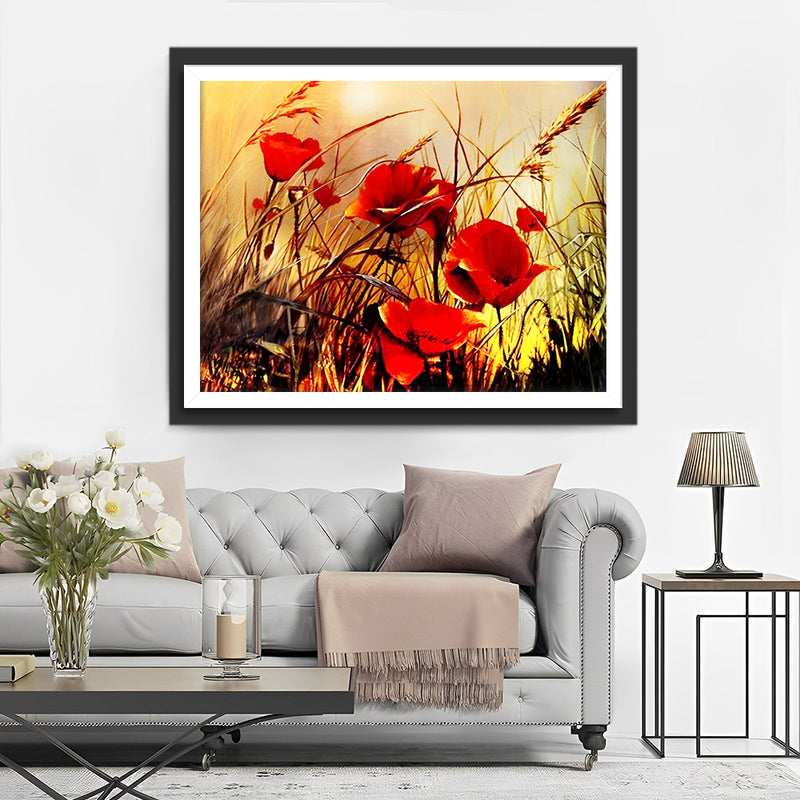 Coquelicots et Herbe d&