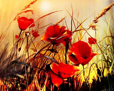 Coquelicots et Herbe d'Automne Broderie Diamant