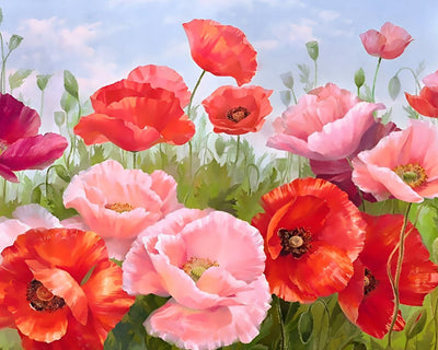 Coquelicots Roses et Rouges Broderie Diamant
