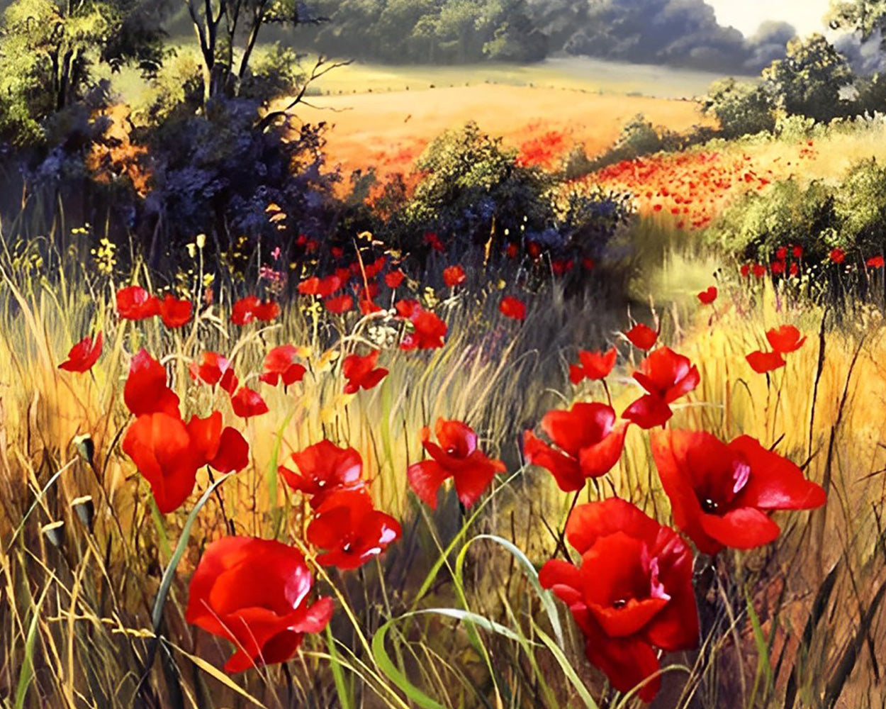 Coquelicots Rouges dans un Champ Sauvage Broderie Diamant