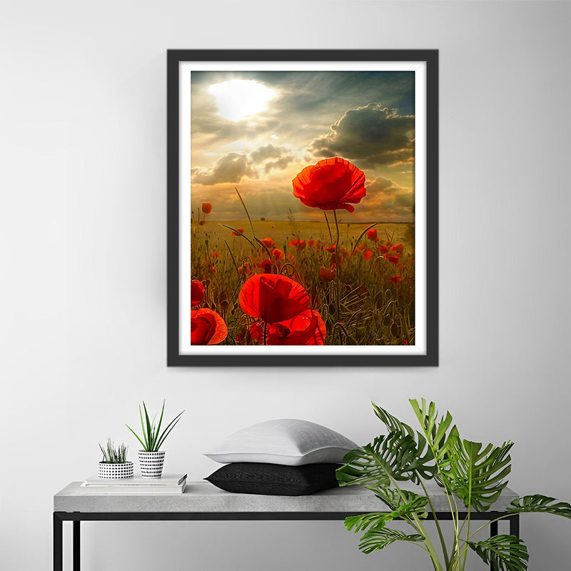 Coquelicots Rouges sous les Nuages Sombres Broderie Diamant