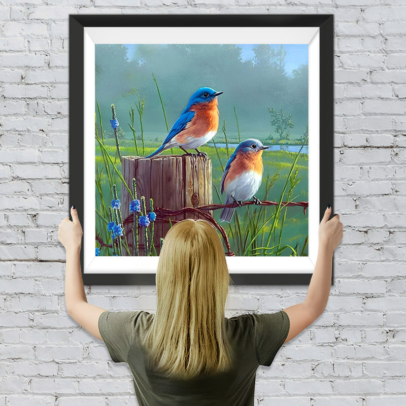 Deux Mignons Oiseaux Bleus et Roux Broderie Diamant