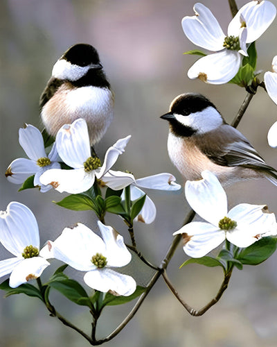 Deux Oiseaux sur une Branche de Fleurs Blanches Broderie Diamant