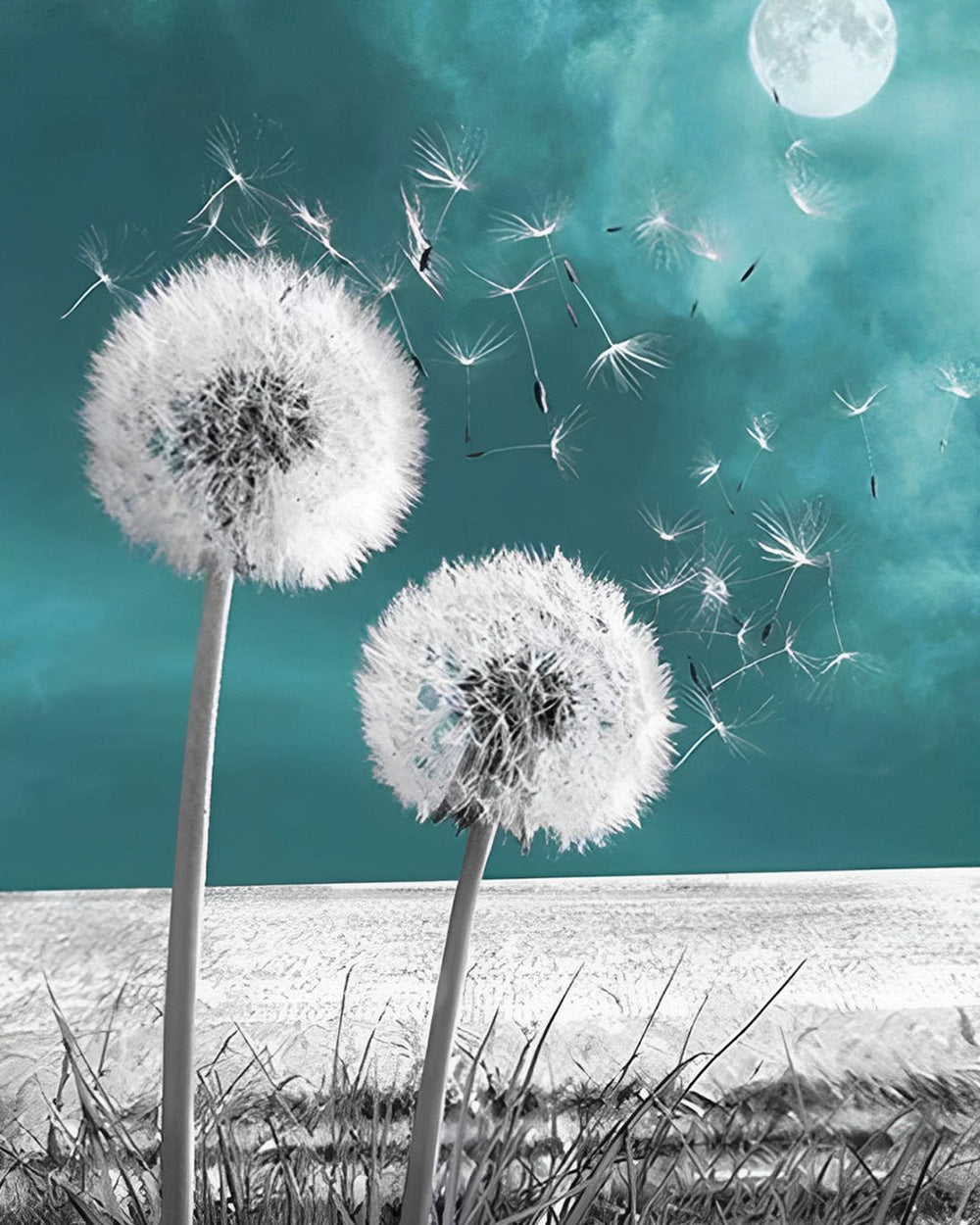 Deux Pissenlits eparpilles Broderie Diamant