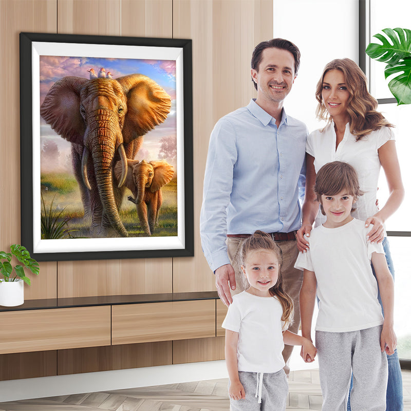 Éléphants et les Oiseaux Animal Broderie Diamant