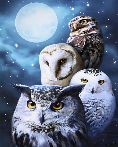 Famille de Chouettes et Pleine Lune Broderie Diamant