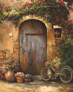 Fleurs et Vélo devant la Porte Broderie Diamant