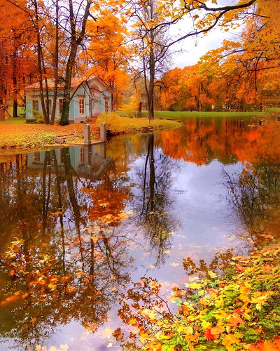 Forêt d'Érables d'Automne et Reflet Broderie Diamant