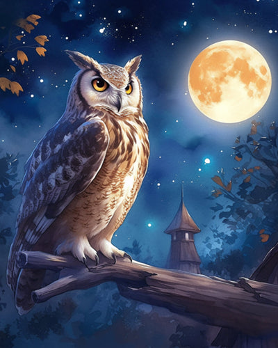 Hibou et Lune Broderie Diamant