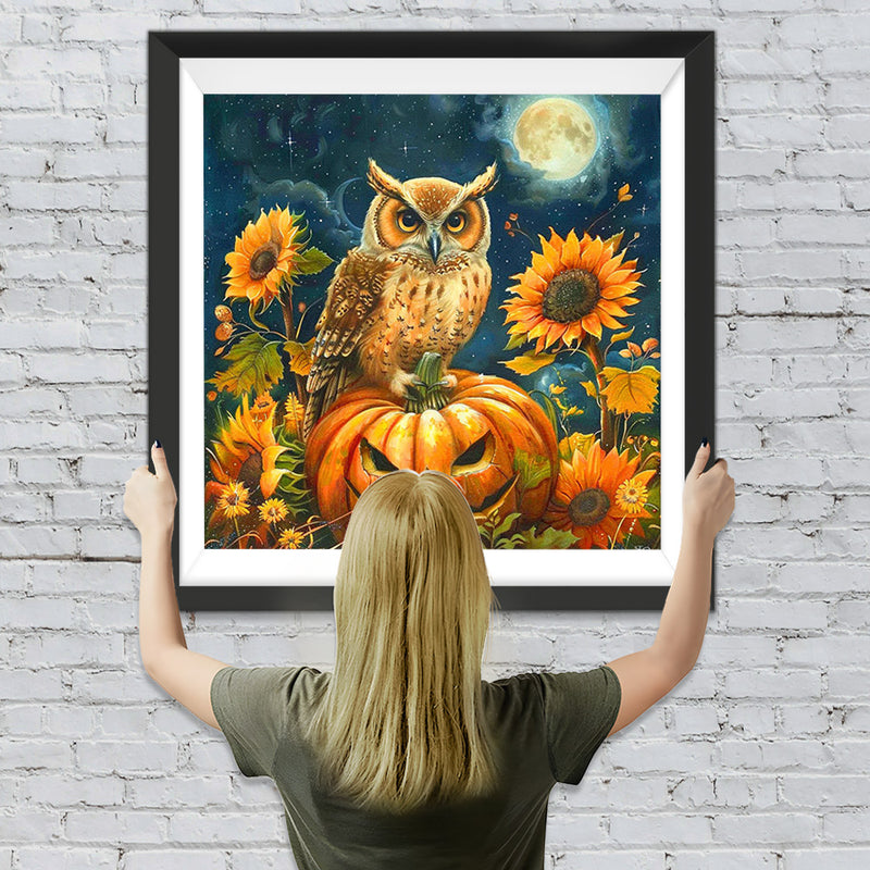 Hibou, Tournesols et Citrouille d&