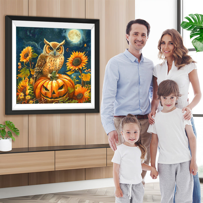 Hibou, Tournesols et Citrouille d&