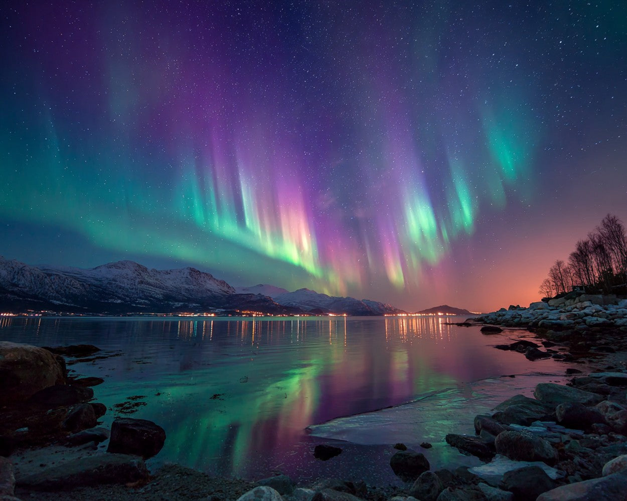La Magnifique Aurore Broderie Diamant