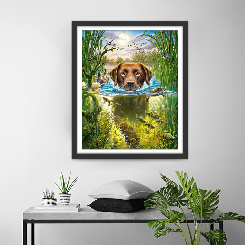 Labradors Pêchant dans l&