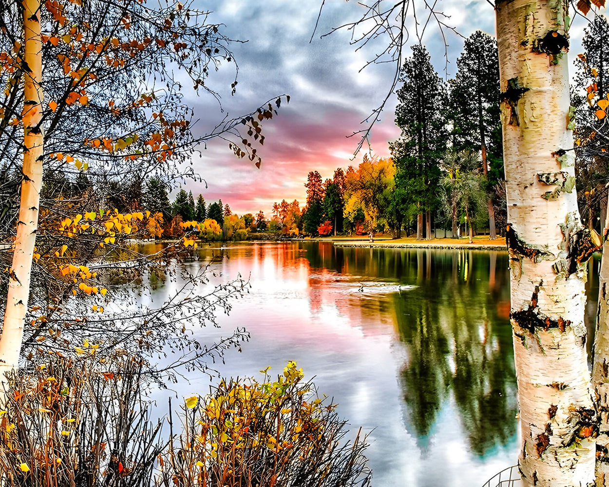 Lac Entoure par la Forêt Broderie Diamant