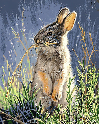 Lapin dans l’Herbe Broderie Diamant