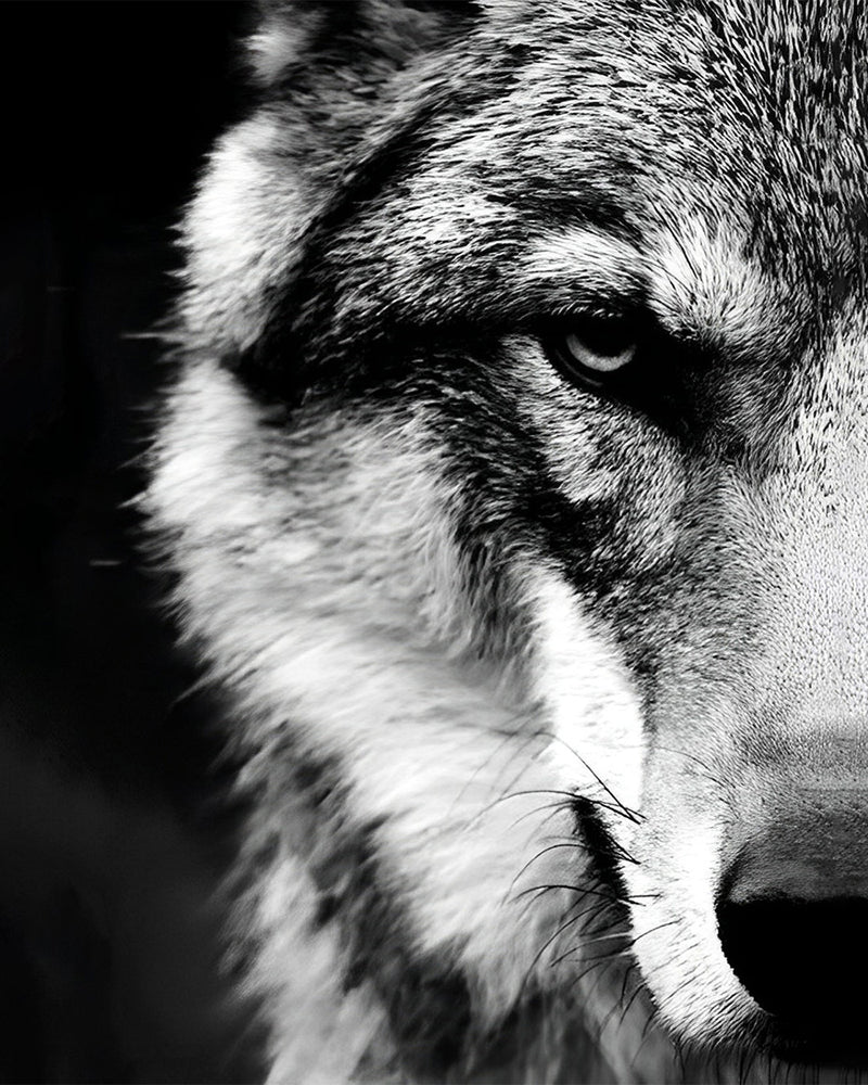 Le Loup Caché Broderie Diamant