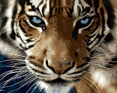 Le Tigre Majestueux Broderie Diamant