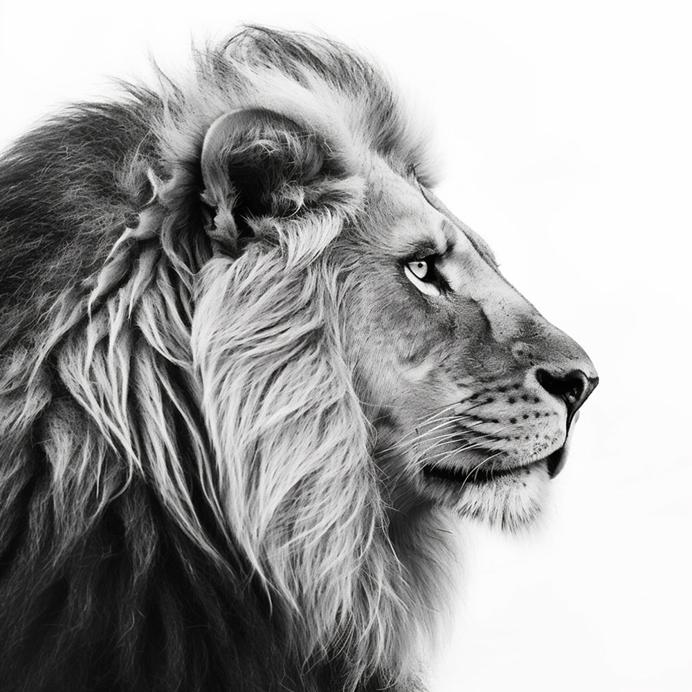 Lion Gris Broderie Diamant