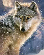 Loup dans la Neige Broderie Diamant