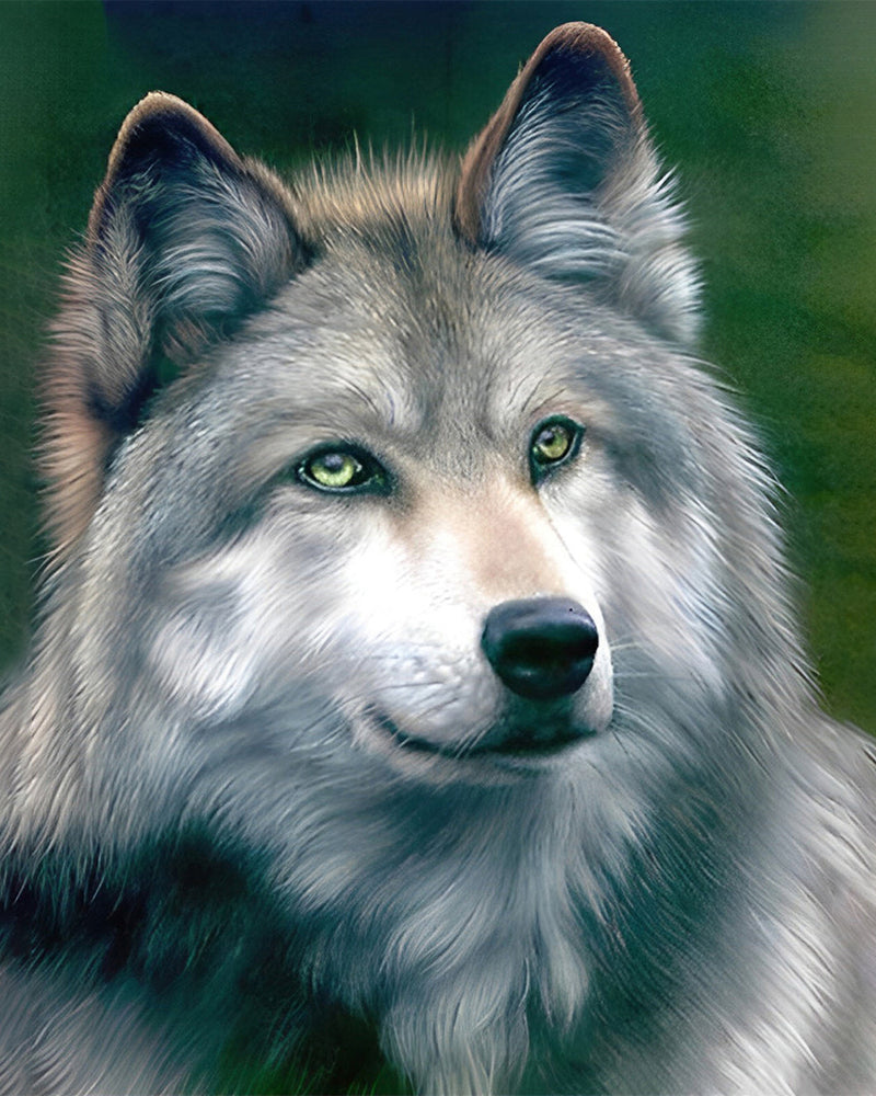 Loup Gris Broderie Diamant