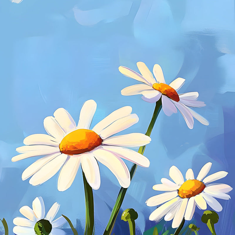 Marguerites Blanches Simples Broderie Diamant