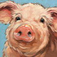 Porc