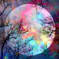 Lune