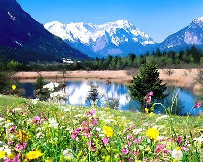 Montagne Enneigée, Champ de Fleurs et Lac Broderie Diamant