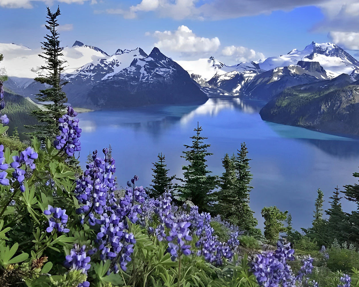 Montagne Enneigée et Lac Broderie Diamant