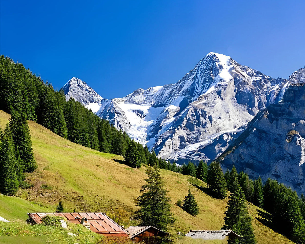 Montagne Enneigée et Pente de Pins Verts Broderie Diamant