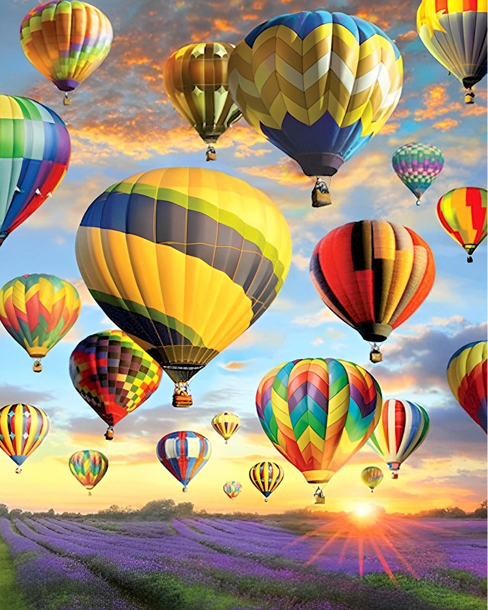 Montgolfières au-dessus des Champs de Lavande Broderie Diamant
