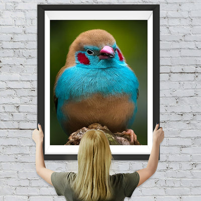 Oiseau Bleu et Marron Broderie Diamant