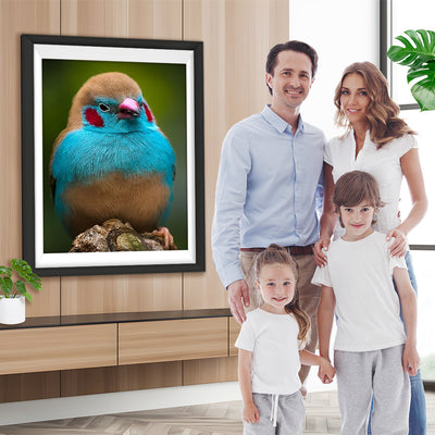 Oiseau Bleu et Marron Broderie Diamant