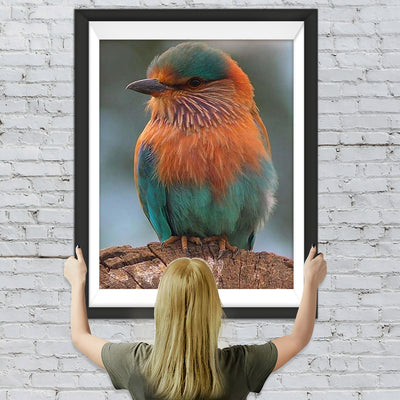 Oiseau Duveteux Broderie Diamant