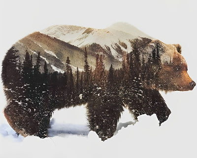 Ours, Forêt et Montagne Broderie Diamant