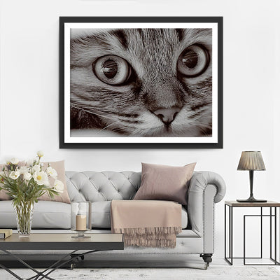 Petit Chaton Gris Broderie Diamant