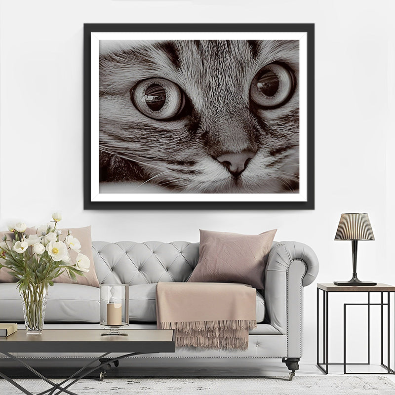 Petit Chaton Gris Broderie Diamant