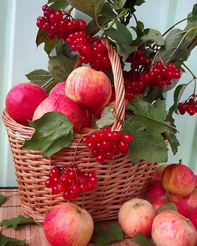 Pommes Rouges dans le Panier Broderie Diamant