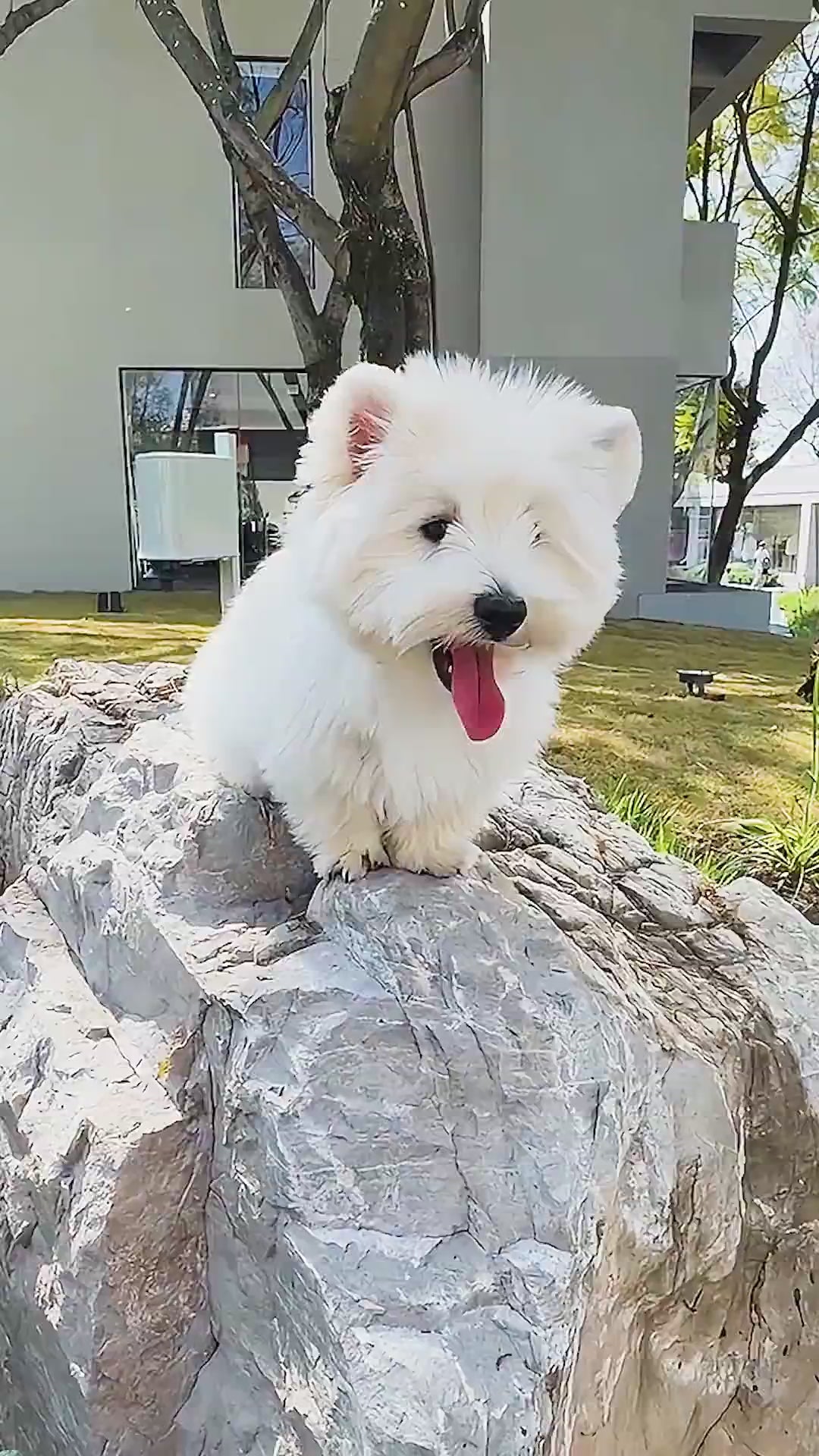 Broderie Diamant Personnalisée