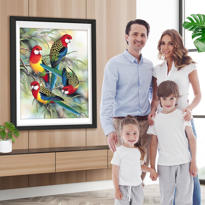 Quatre Perroquets avec des Motifs Etranges Broderie Diamant