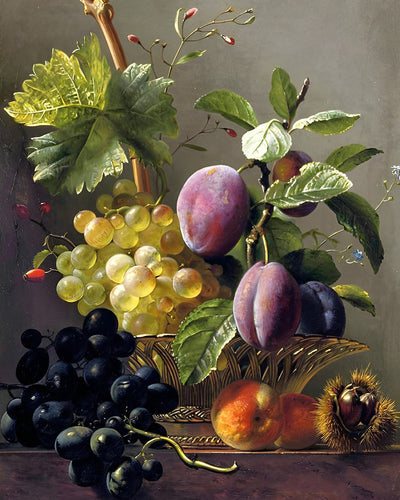 Raisins et Pruneaux Broderie Diamant