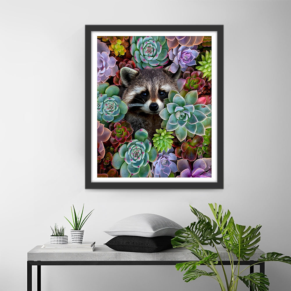 Raton Laveur parmi les Plantes Succulentes Broderie Diamant