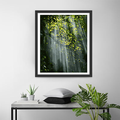 Rayons de Soleil à Travers la Forêt Verte Broderie Diamant