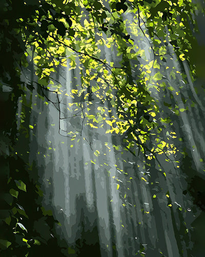 Rayons de Soleil à Travers la Forêt Verte Broderie Diamant