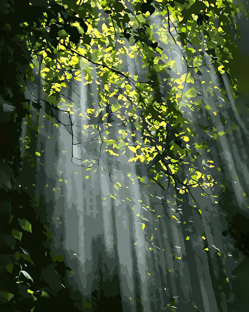 Rayons de Soleil à Travers la Forêt Verte Broderie Diamant