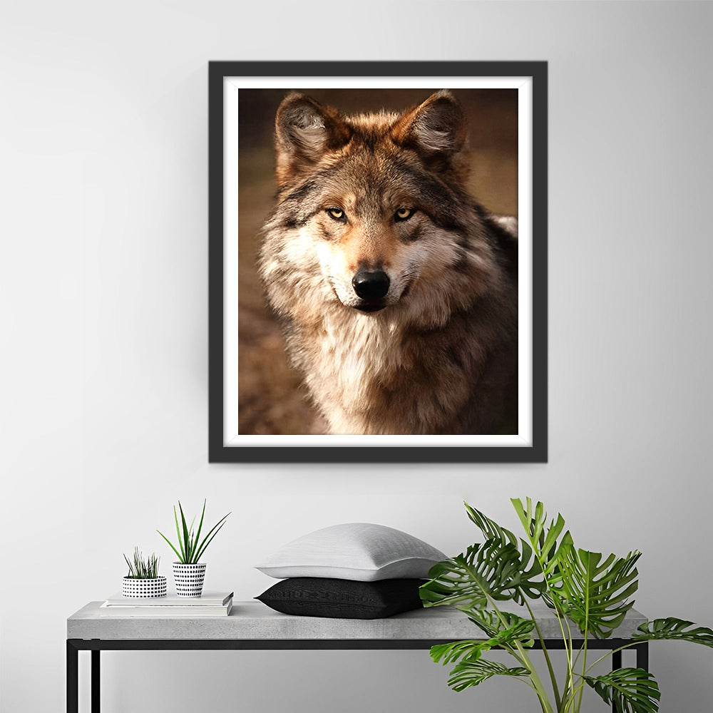 Regard du Loup Broderie Diamant