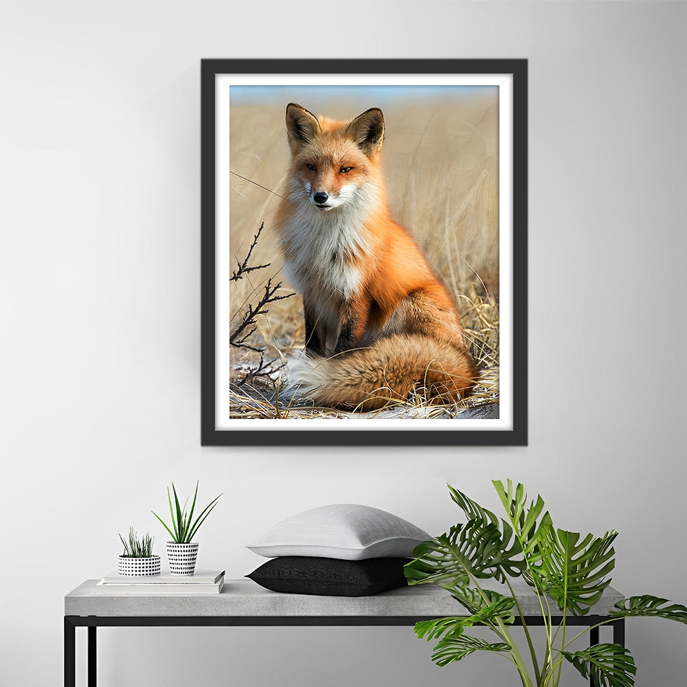 Renard sur la Prairie d’Automne Broderie Diamant